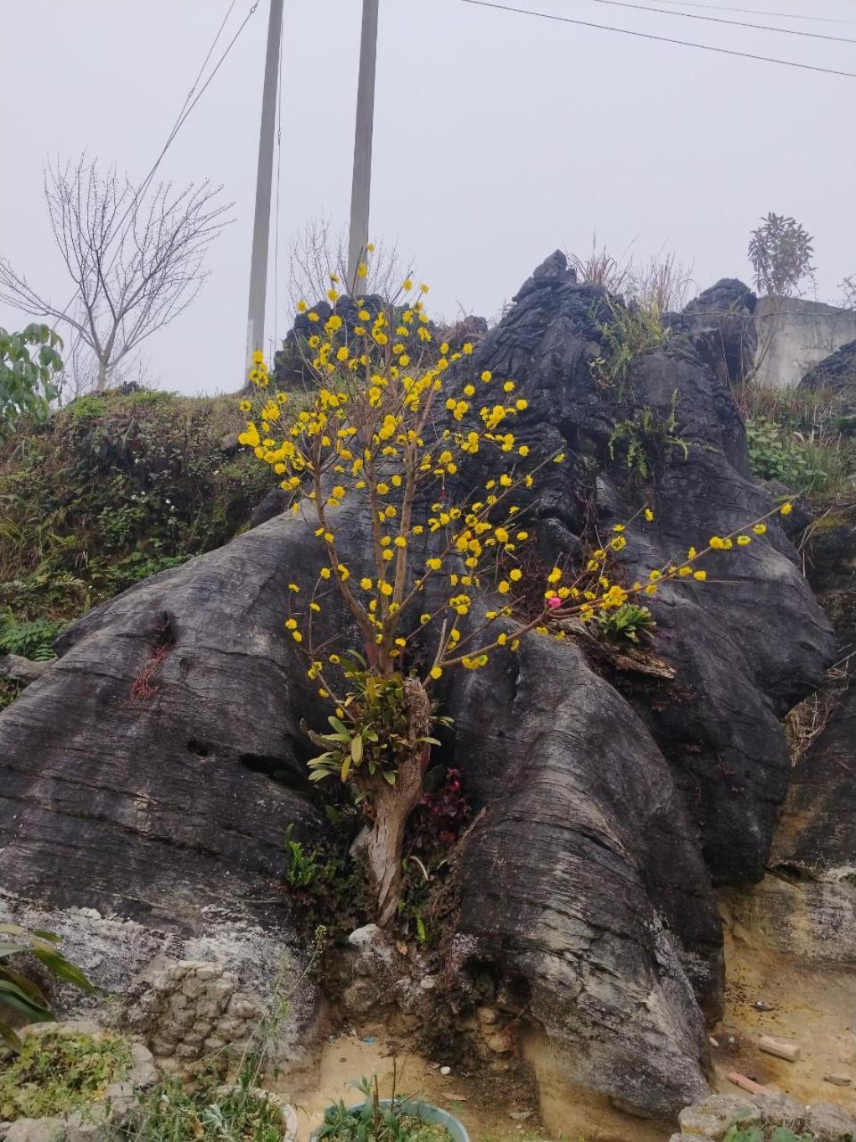 Ta Van Chu Homestay Bac Ha  Eksteriør bilde